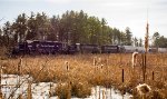 EDPO (East Deerfield to Portland, ME) passes through the swamp at Wagon Wheel 